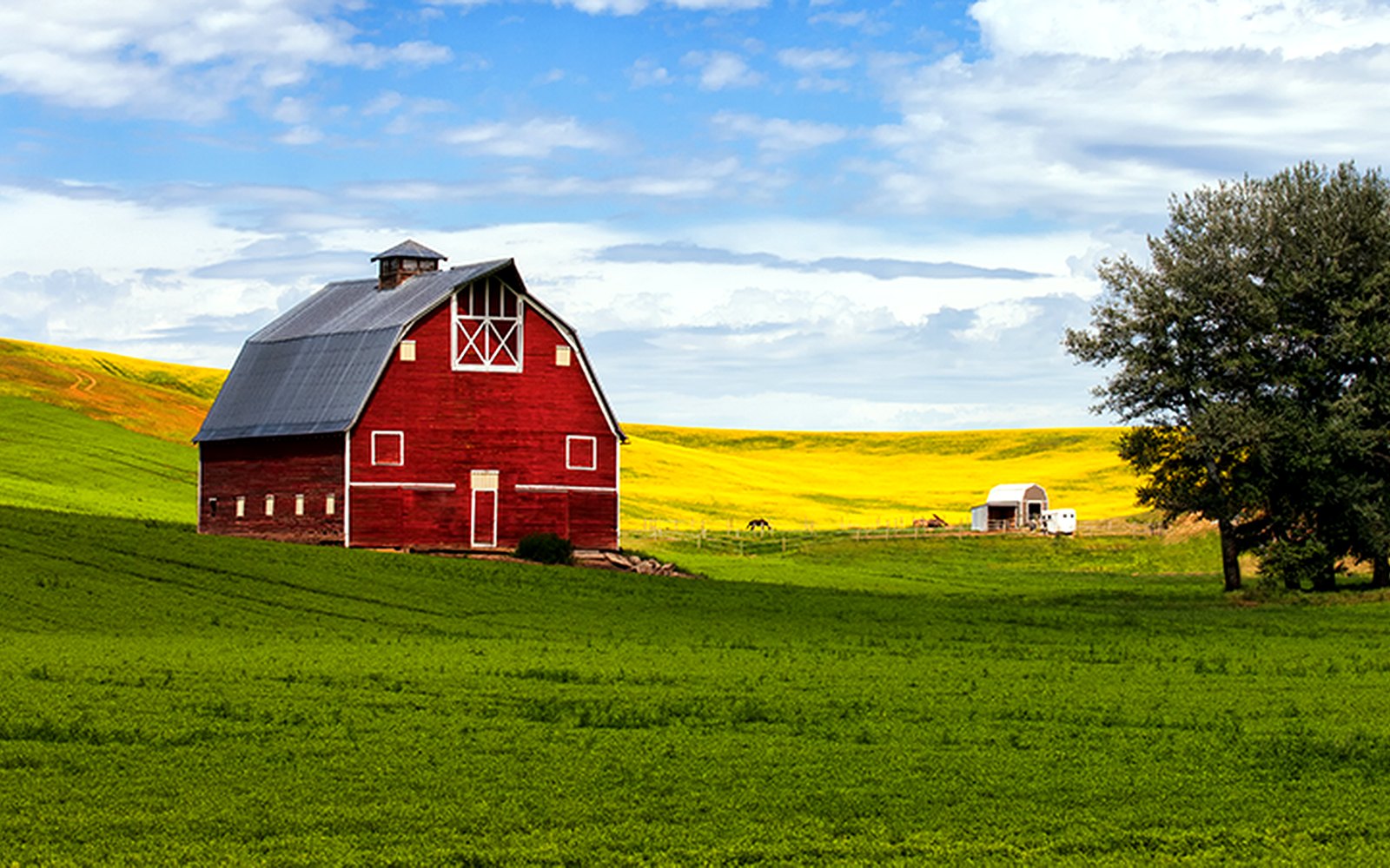 Red barn on the South Dakota prairie