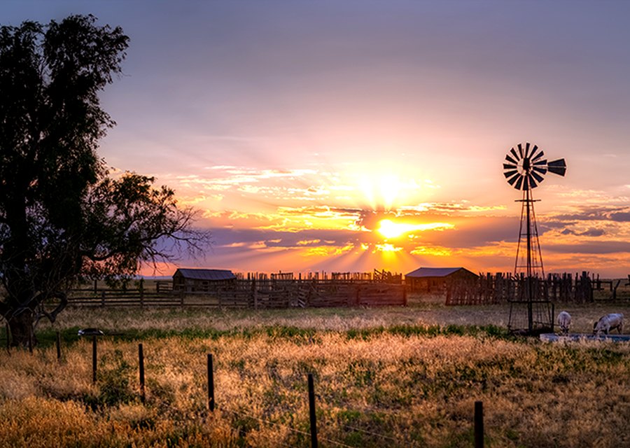 Windmill at golden hour on the South Dakota prairie
